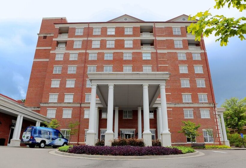 Отель The Inn At Ole Miss