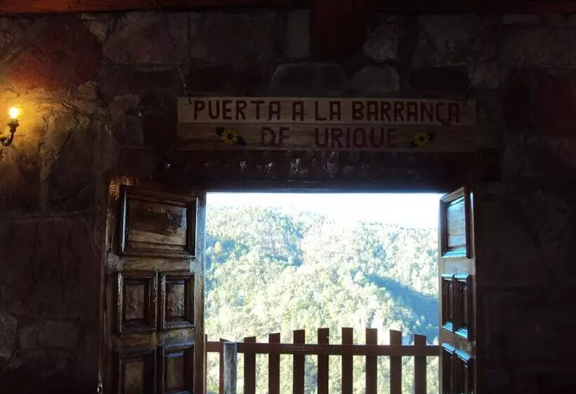 ホテル Wilderness Lodge At Cerocahui