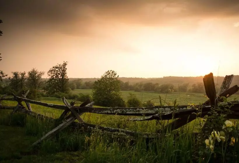 Laura S Bed & Breakfast