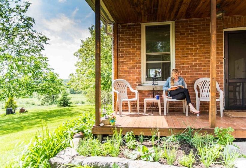 Laura S Bed & Breakfast