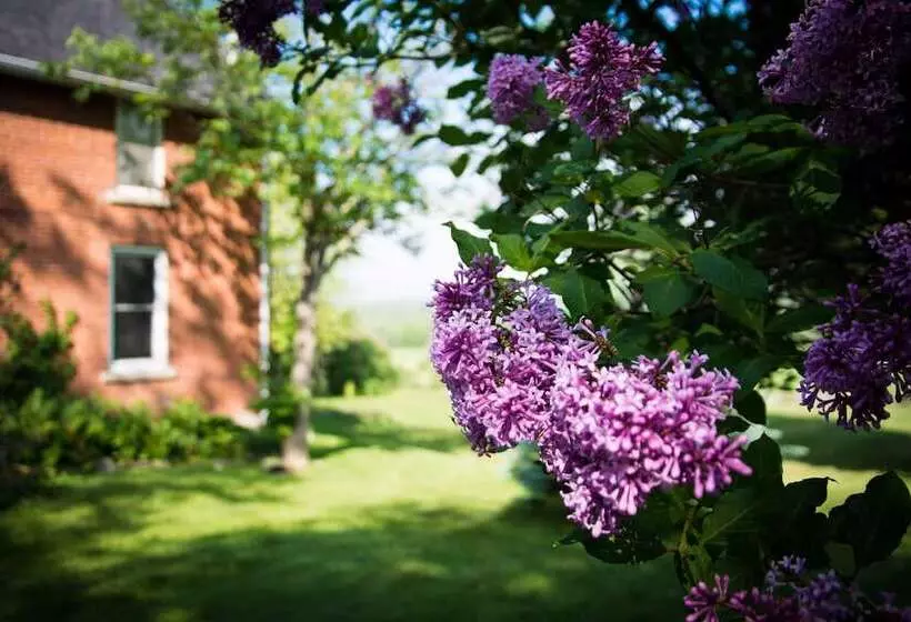 Laura S Bed & Breakfast