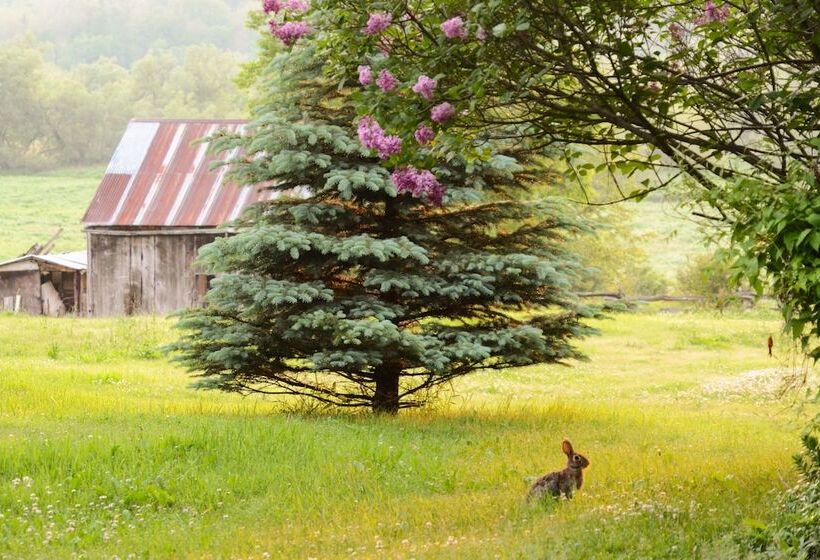 Laura S Bed & Breakfast