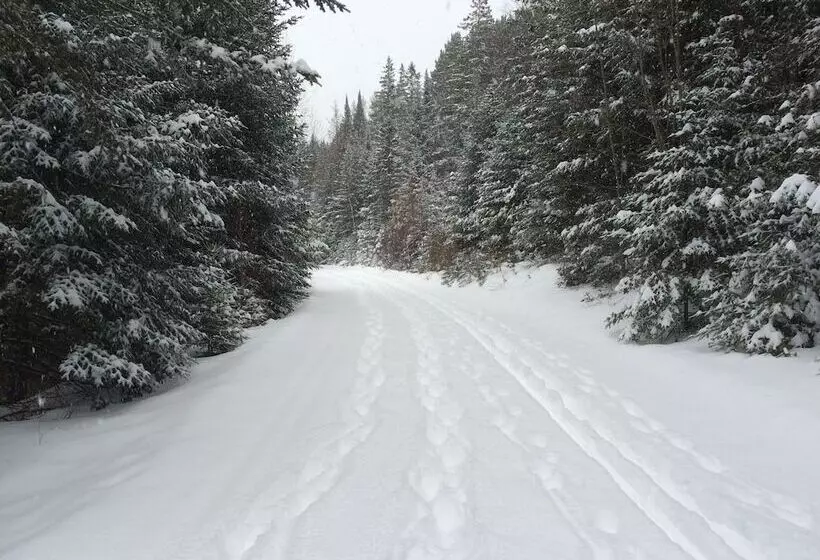 ペンション Bb Saffron Tremblant