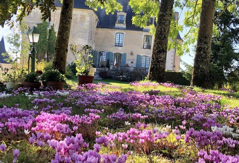 بنسيون Château De La Celle Guenand