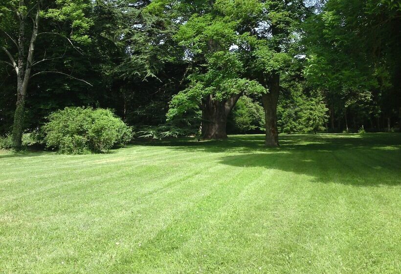 بنسيون Château De La Celle Guenand