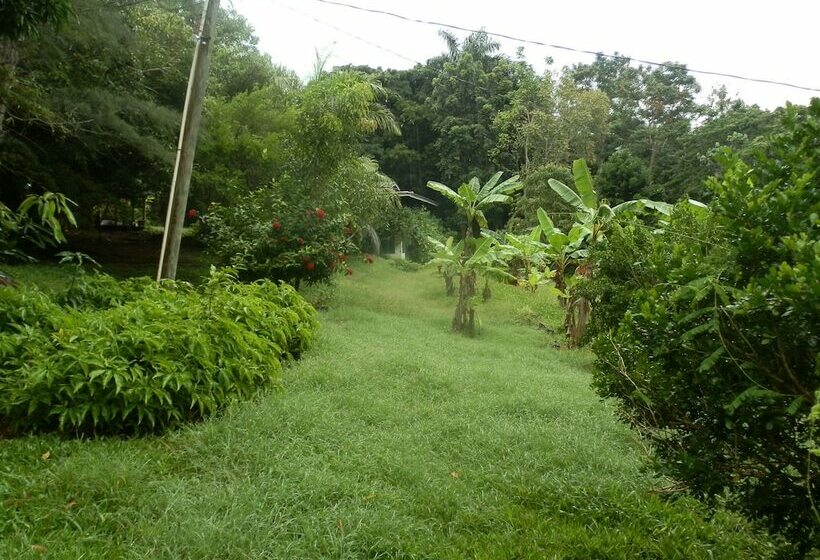 پانسیون Harding Hall Hideaway