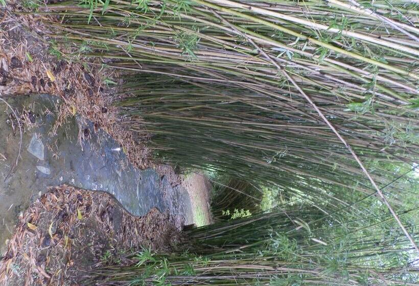 پانسیون Harding Hall Hideaway