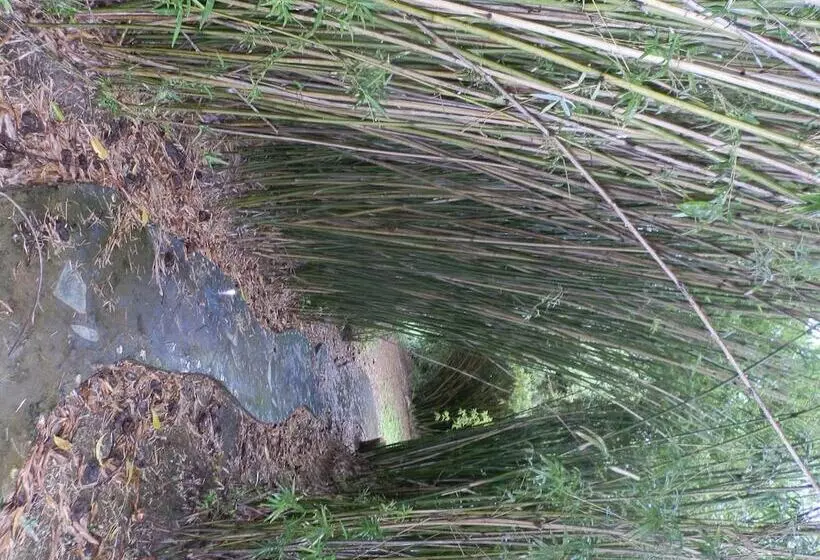 پانسیون Harding Hall Hideaway