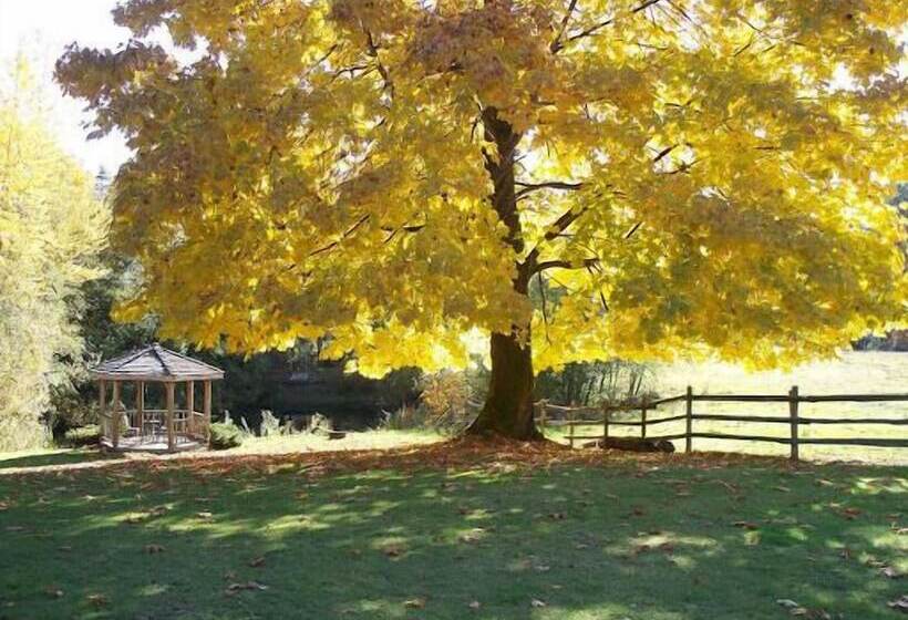 Pension Maple Grove Guest House