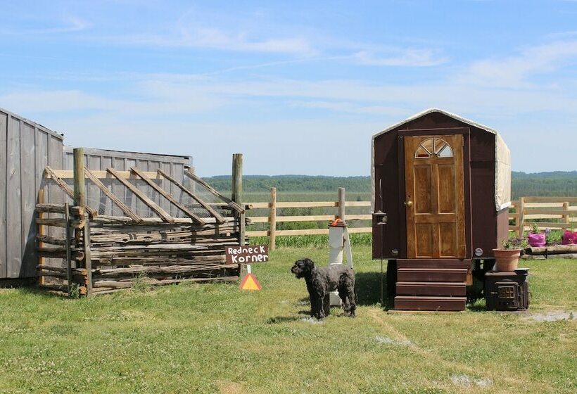 Pensjonat Redneck Korner