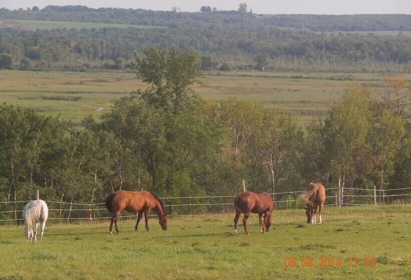 Pensjonat Redneck Korner