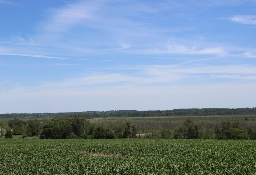 Pensjonat Redneck Korner