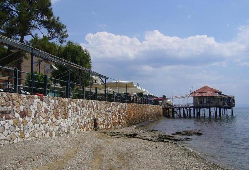 Пансион Sofia Rooms