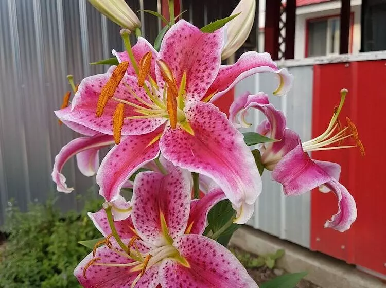 Rivermount Motel Campground And Rv Park