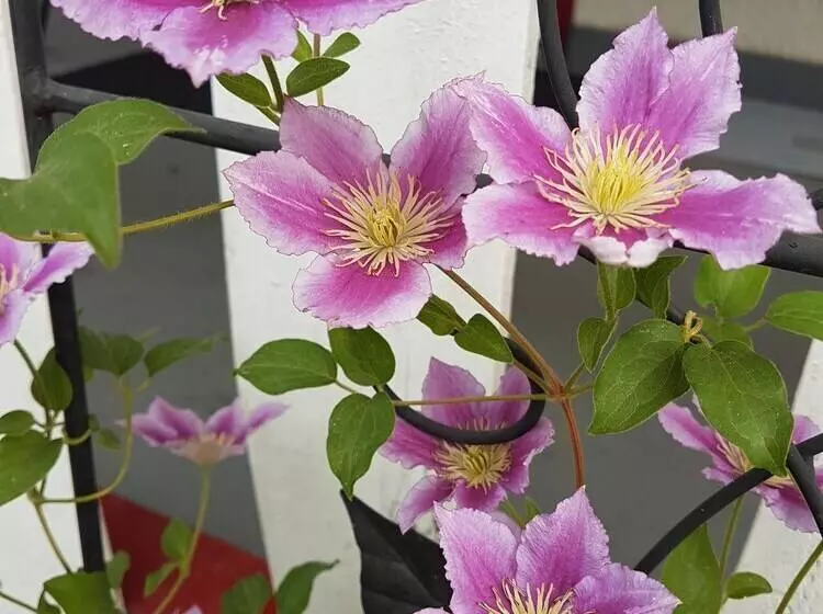 Rivermount Motel Campground And Rv Park