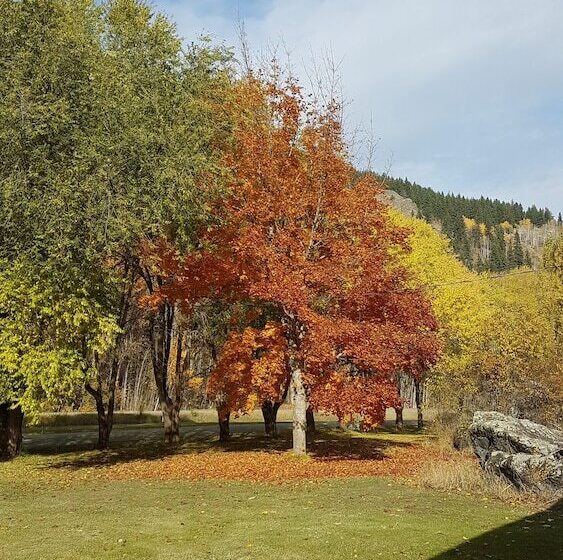 Rivermount Motel Campground And Rv Park