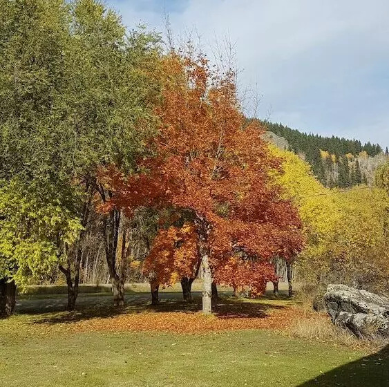 Rivermount Motel Campground And Rv Park