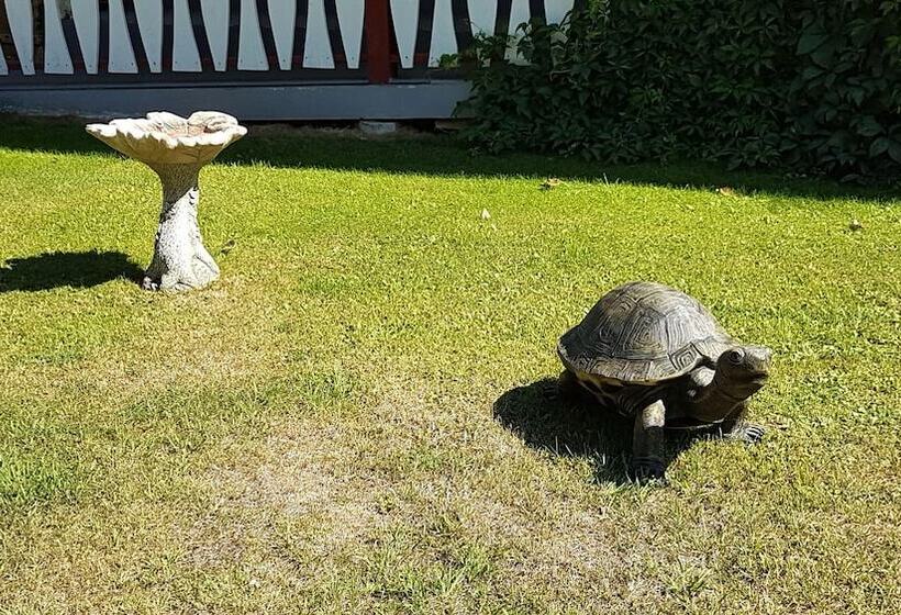 Rivermount Motel Campground And Rv Park