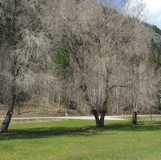 Rivermount Motel Campground And Rv Park