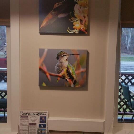 Rivermount Motel Campground And Rv Park