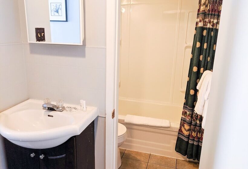 Skyline Motel & Campus Inn