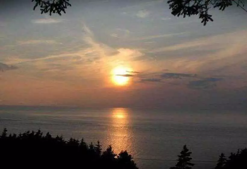 Mountain View Motel & Cottages