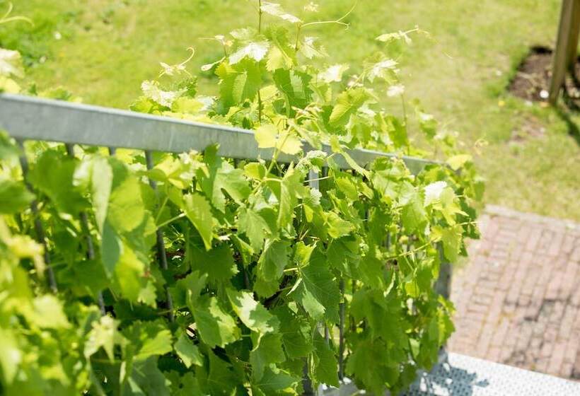 Villa Suisse Bed & Breakfast