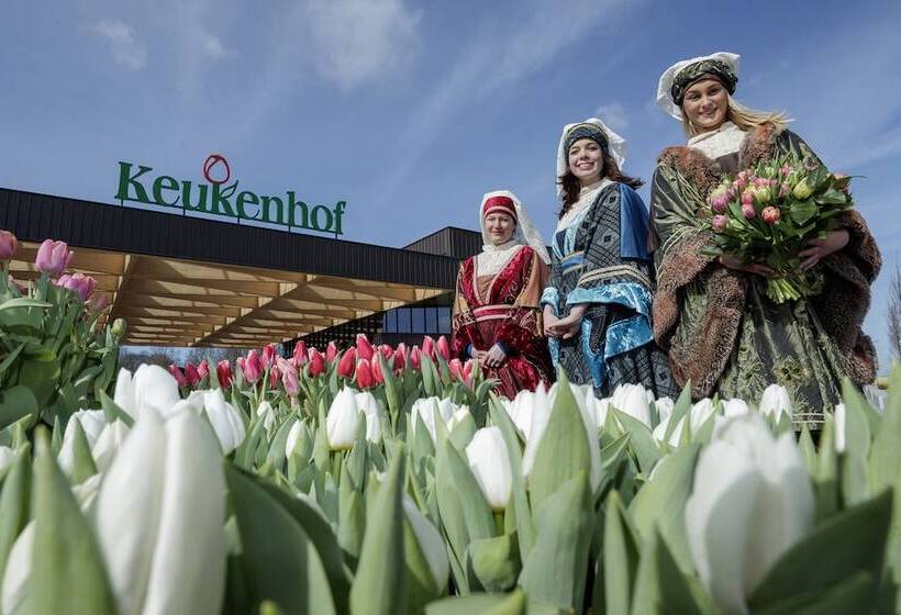 Villa Suisse Bed & Breakfast