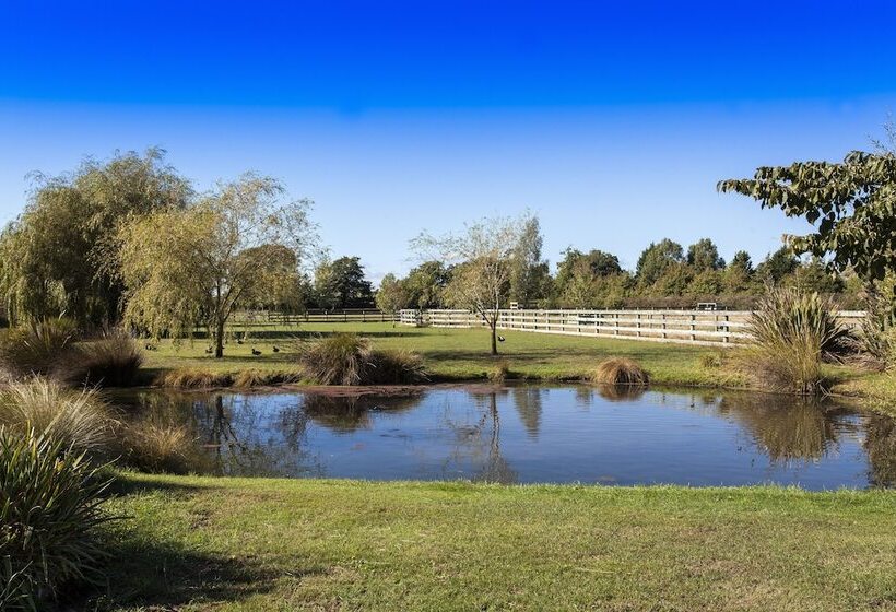 Bed and Breakfast Stoneleigh Lodge