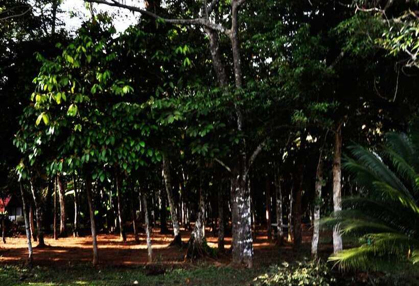 酒店 Ciudad Resort Campestre