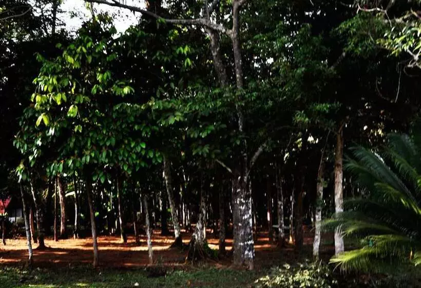 ホテル Ciudad Resort Campestre