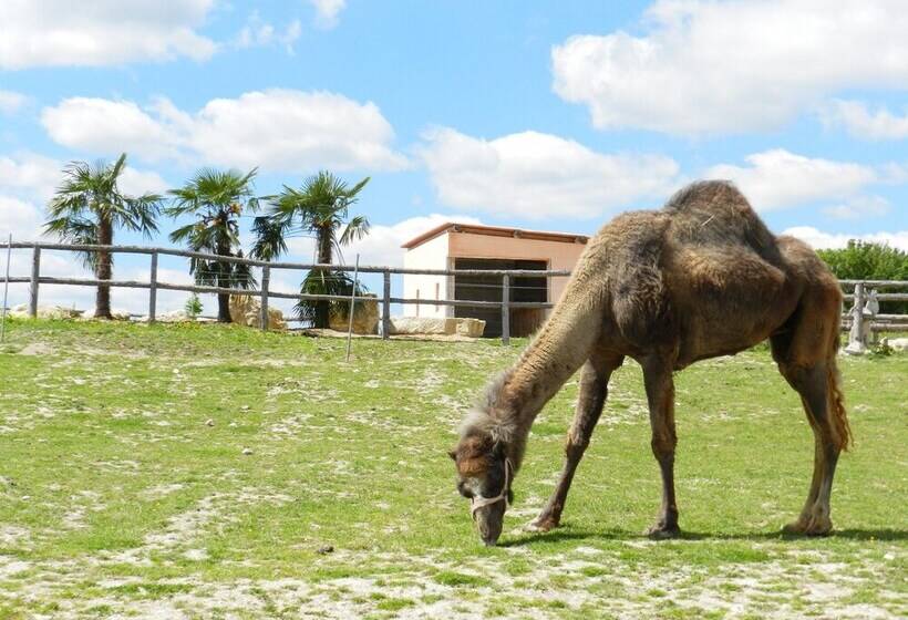 فندق Défiplanet  à Dienné   Hébergements Insolites