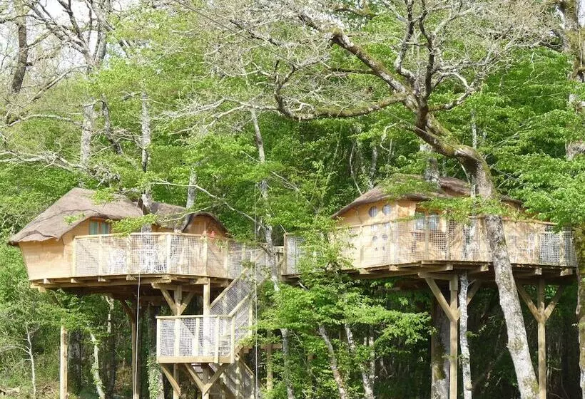 Hotelli Défiplanet  à Dienné   Hébergements Insolites