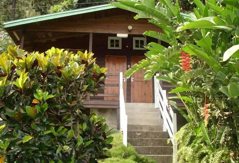 هتل Forres Park Resort & Spa