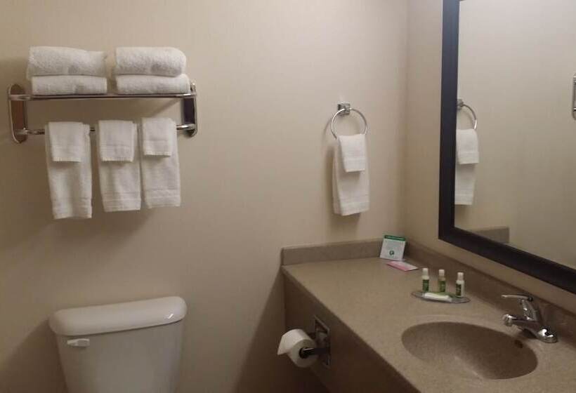 호텔 American Inn & Suites