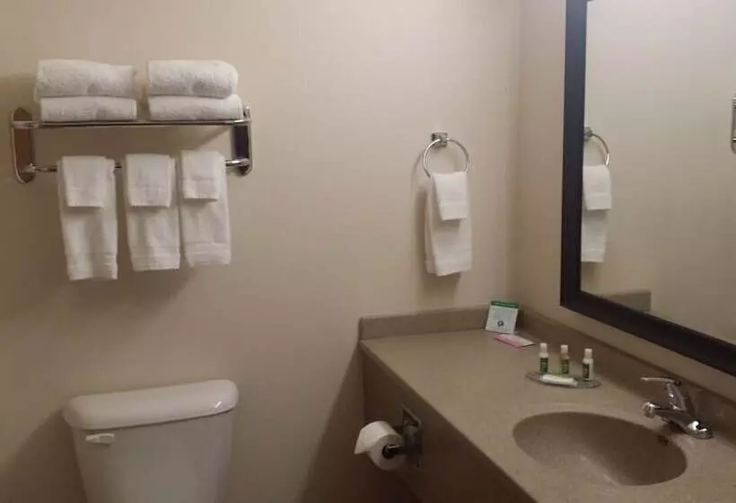Hotelli American Inn & Suites