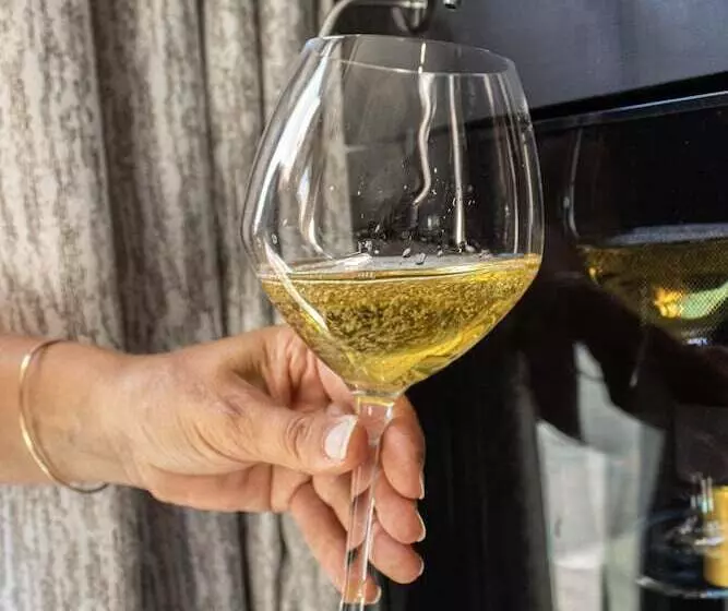 ホテル Hôtel Restaurant La Source