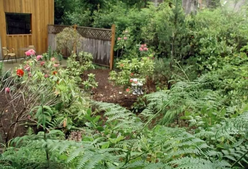 هتل Sea Star Beach Retreat