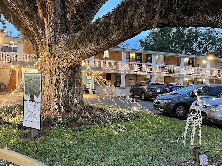 汽车旅馆  Castillo Inn