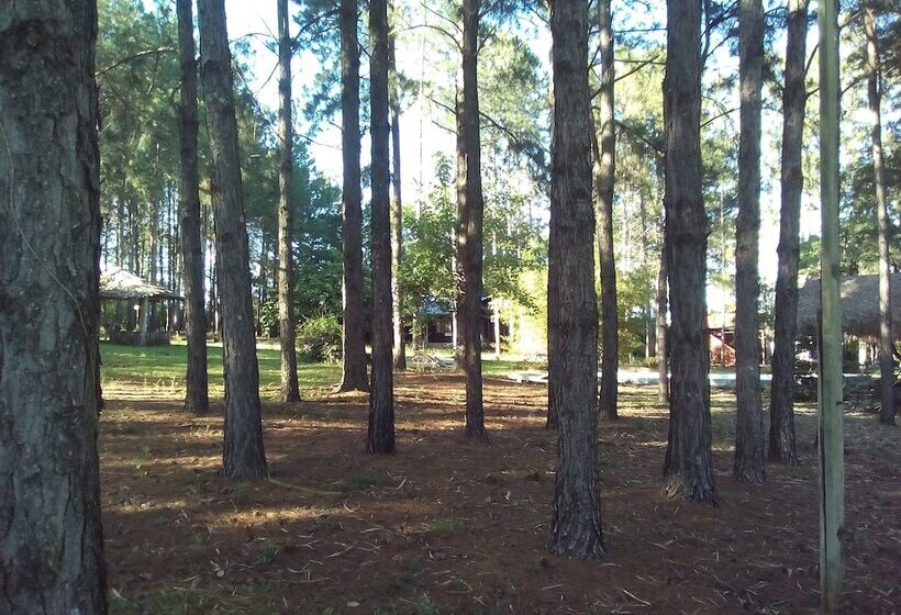 پانسیون Country