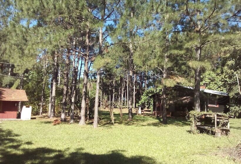 پانسیون Country