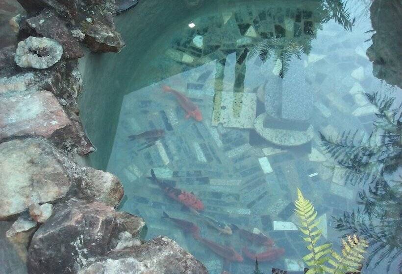 پانسیون Country