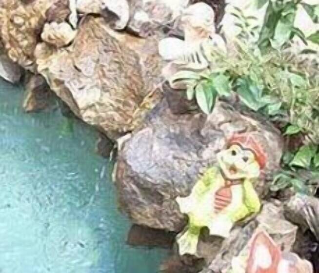 پانسیون Country