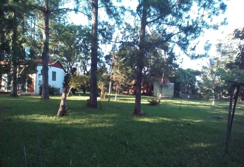 پانسیون Country