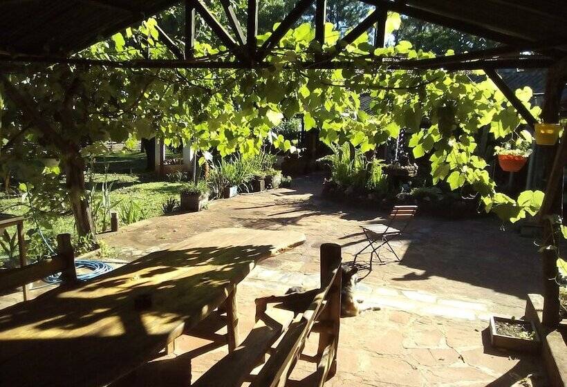 پانسیون Country