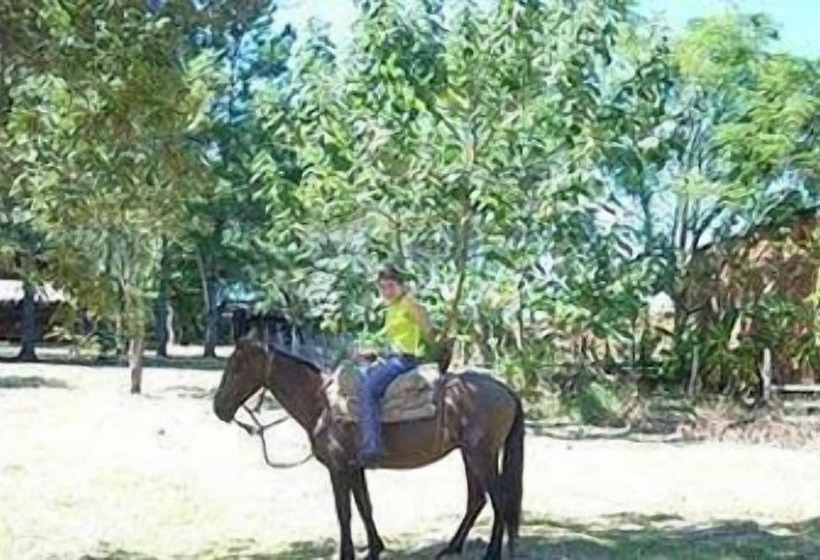 پانسیون Country