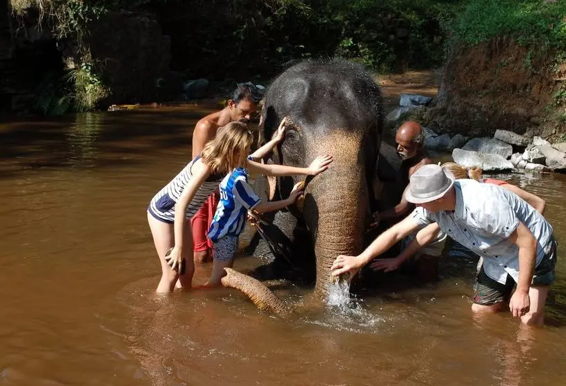 Majatalo Mannaas Veedu Retreat & Spa