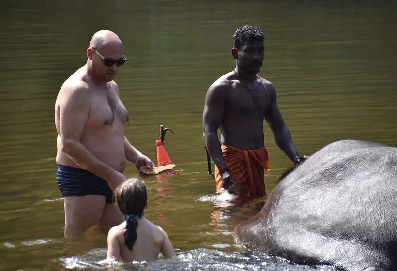 Majatalo Mannaas Veedu Retreat & Spa