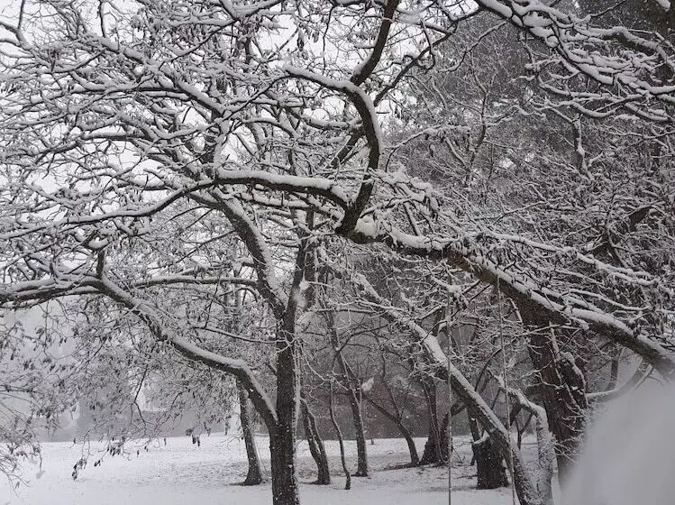 Majatalo Seclusions Blue Mountains