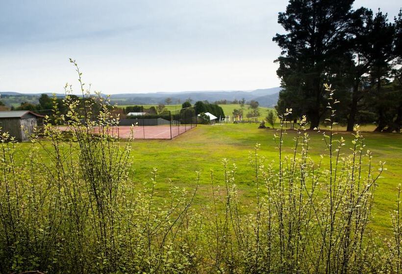 ペンション Seclusions Blue Mountains